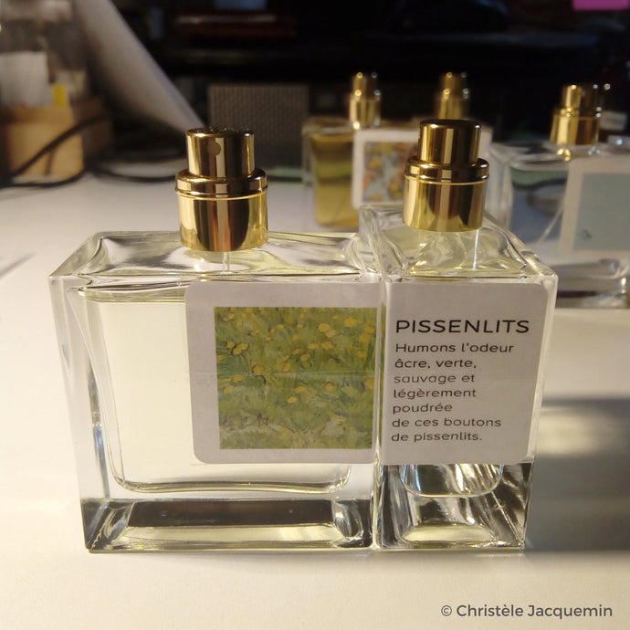 Des parfums pour la Fondation Van Gogh d'Arles