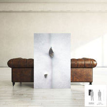 Charger l'image dans la galerie, ENLIGHTENMENT I · Photographie