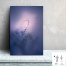 Load image into Gallery viewer, IMPERMANENCE II · Photography