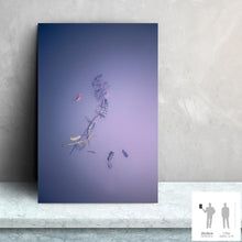 Cargar imagen en el visor de la galería, IMPERMANENCE IV · Fotografía