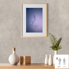 Cargar imagen en el visor de la galería, IMPERMANENCE IV · Fotografía