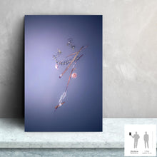 Load image into Gallery viewer, IMPERMANENCE V · Photography