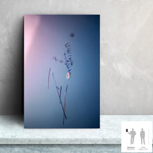 Load image into Gallery viewer, IMPERMANENCE VI · Photography