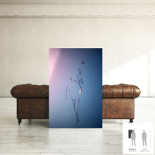 Load image into Gallery viewer, IMPERMANENCE VI · Photography
