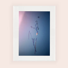 Load image into Gallery viewer, IMPERMANENCE VI · Photography