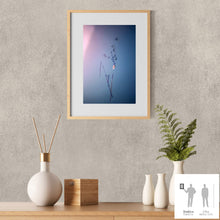 Load image into Gallery viewer, IMPERMANENCE VI · Photography