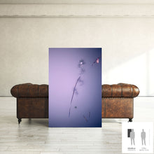 Load image into Gallery viewer, IMPERMANENCE VII · Photography