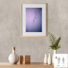 Load image into Gallery viewer, IMPERMANENCE VII · Photography