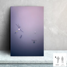 Load image into Gallery viewer, IMPERMANENCE VIII · Photography