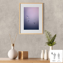 Load image into Gallery viewer, IMPERMANENCE VIII · Photography