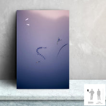 Load image into Gallery viewer, IMPERMANENCE IX · Photography