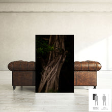 Charger l'image dans la galerie, MEANDERING SOUL II · Photographie