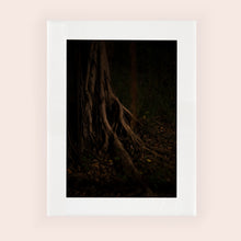 Charger l'image dans la galerie, MEANDERING SOUL VII · Photographie
