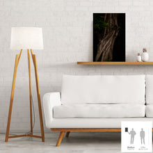 Charger l'image dans la galerie, MEANDERING SOUL II · Photographie