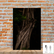 Charger l'image dans la galerie, MEANDERING SOUL II · Photographie