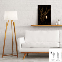 Charger l'image dans la galerie, MEANDERING SOUL VI · Photographie