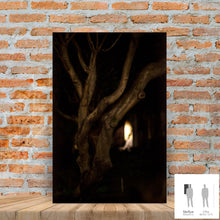 Charger l'image dans la galerie, MEANDERING SOUL VI · Photographie