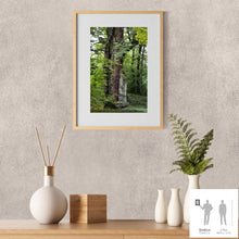 Charger l'image dans la galerie, SLOW LIFE I · Photographie