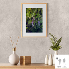 Charger l'image dans la galerie, SLOW LIFE III · Photographie