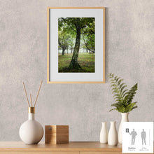 Charger l'image dans la galerie, SLOW LIFE V · Photographie