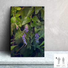 Charger l'image dans la galerie, SLOW LIFE III · Photographie