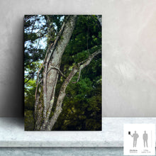 Charger l'image dans la galerie, SLOW LIFE IV · Photographie