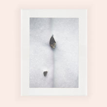 Charger l'image dans la galerie, ENLIGHTENMENT I · Photographie