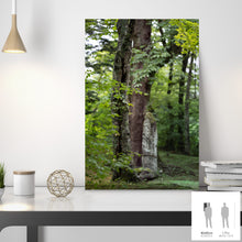 Charger l'image dans la galerie, SLOW LIFE I · Photographie