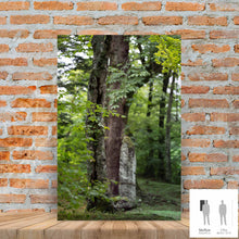 Charger l'image dans la galerie, SLOW LIFE I · Photographie