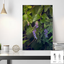 Charger l'image dans la galerie, SLOW LIFE III · Photographie