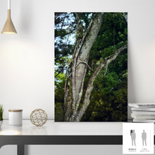 Charger l'image dans la galerie, SLOW LIFE IV · Photographie