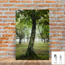 Charger l'image dans la galerie, SLOW LIFE V · Photographie