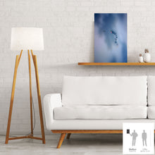 Load image into Gallery viewer, IMPERMANENCE I · Photography