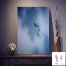 Load image into Gallery viewer, IMPERMANENCE I · Photography