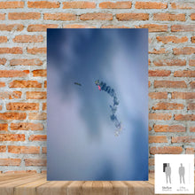 Load image into Gallery viewer, IMPERMANENCE I · Photography