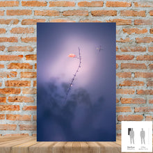 Load image into Gallery viewer, IMPERMANENCE II · Photography