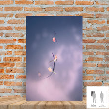 Load image into Gallery viewer, IMPERMANENCE III · Photography