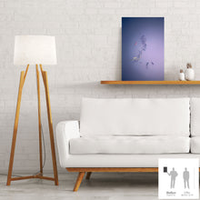 Cargar imagen en el visor de la galería, IMPERMANENCE IV · Fotografía