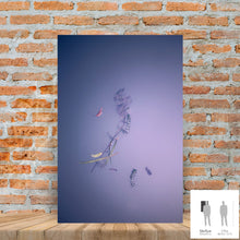 Cargar imagen en el visor de la galería, IMPERMANENCE IV · Fotografía