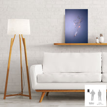 Load image into Gallery viewer, IMPERMANENCE V · Photography