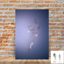 Load image into Gallery viewer, IMPERMANENCE V · Photography