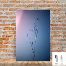 Load image into Gallery viewer, IMPERMANENCE VI · Photography