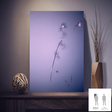 Load image into Gallery viewer, IMPERMANENCE VII · Photography