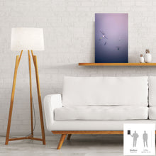 Load image into Gallery viewer, IMPERMANENCE VIII · Photography