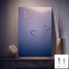 Load image into Gallery viewer, IMPERMANENCE IX · Photography