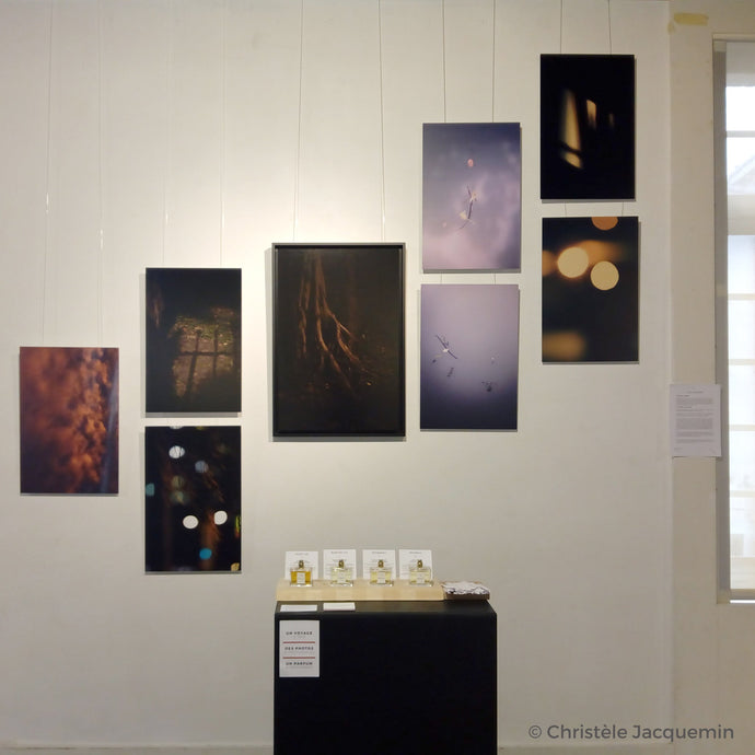 Exposición en el Cloître Saint Louis
