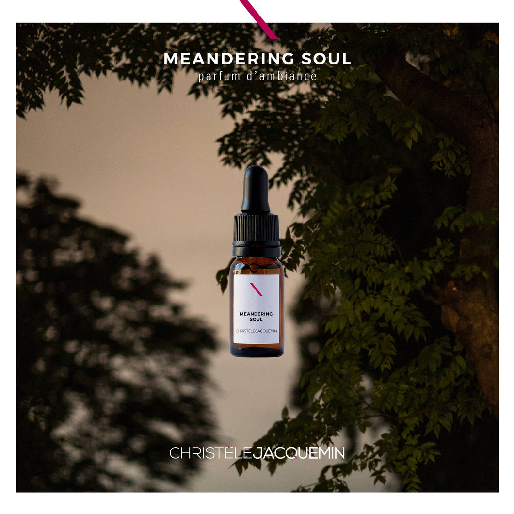 MEANDERING SOUL · Parfum d'intérieur