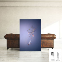 Load image into Gallery viewer, IMPERMANENCE V · Photography
