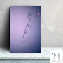 Load image into Gallery viewer, IMPERMANENCE VII · Photography
