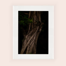 Charger l&#39;image dans la galerie, MEANDERING SOUL II · Photographie
